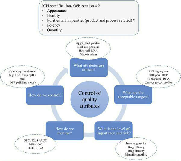 Proein-Characterization-Fig1